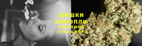 PSILOCYBIN Бронницы